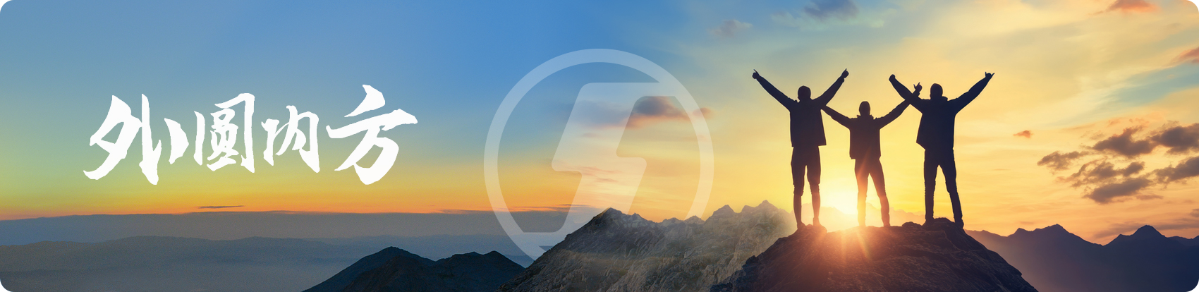 陜西汽車控股集團(tuán)有限公司